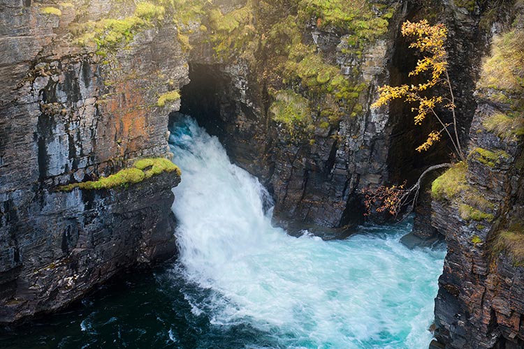 Abisko National Park