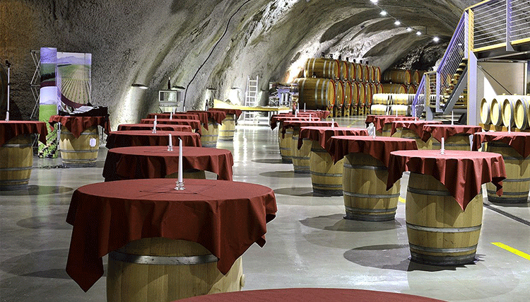 Najpopularnije vinske ture u Crnoj Gori